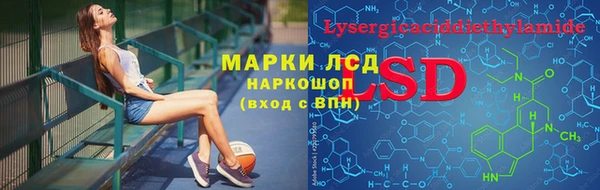 твердый Аркадак