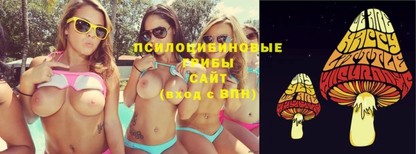 хмурый Алексеевка