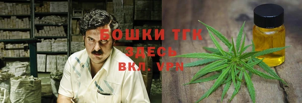 твердый Аркадак